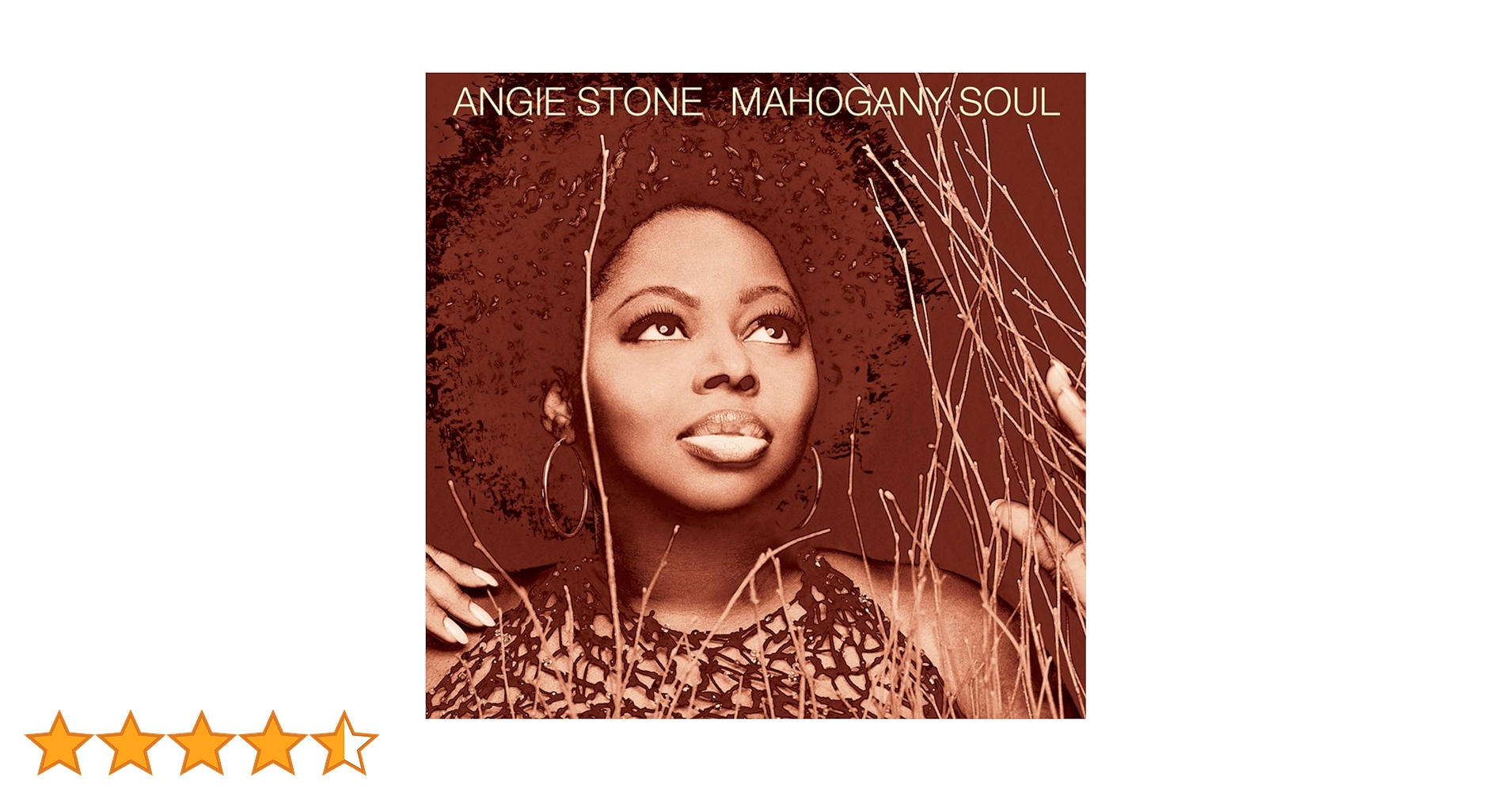オリジナル盤 Angie Stone Mahogany Soul レコード Angie Stone / Mahogany Soul 2001 US ORIGINAL 2LP J Records